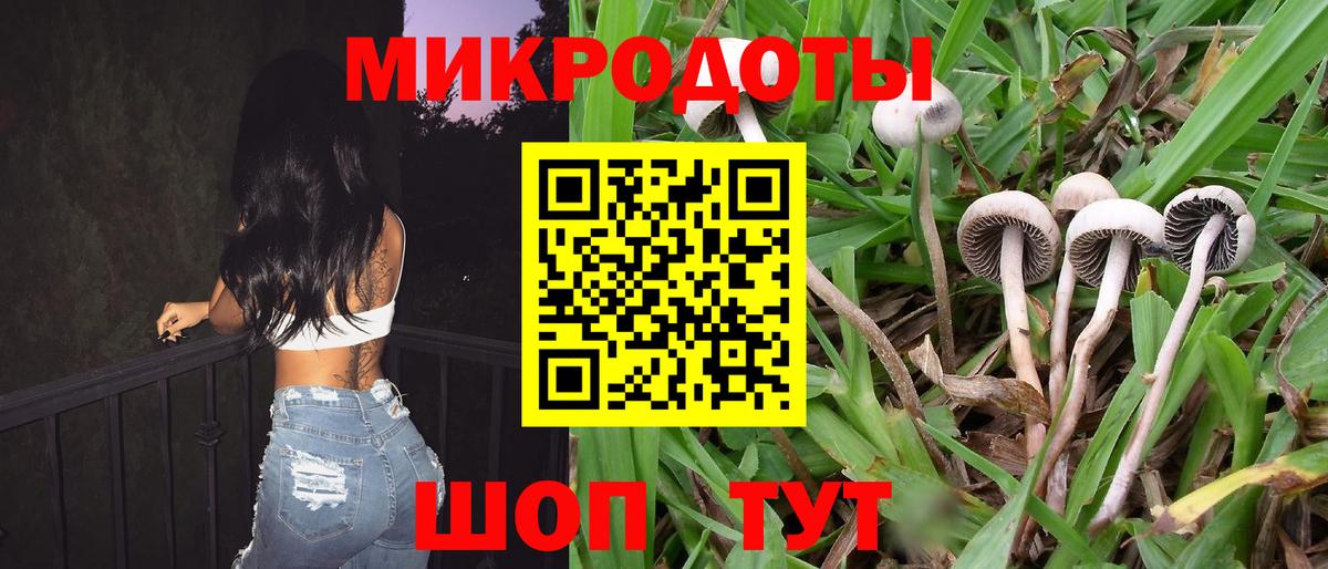 Псилоцибиновые грибы мухоморы Кубинка