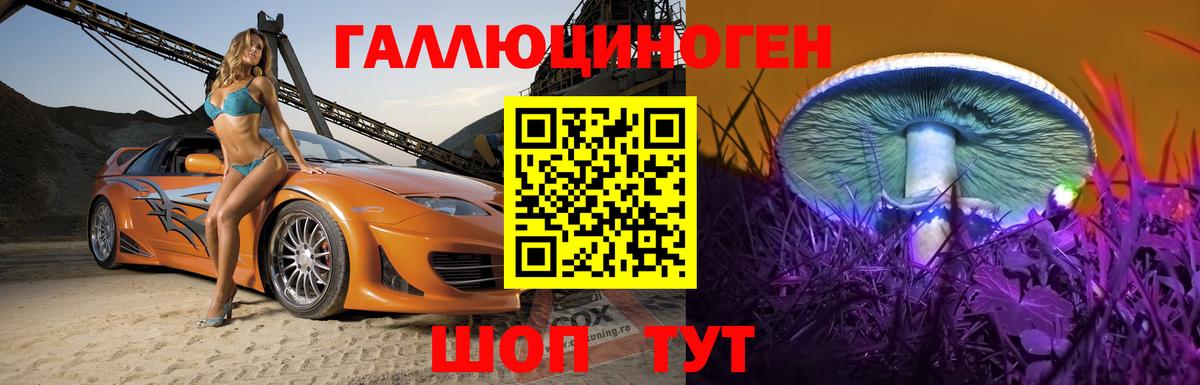 Псилоцибиновые грибы прущие грибы  Вход с VPN  Кубинка 